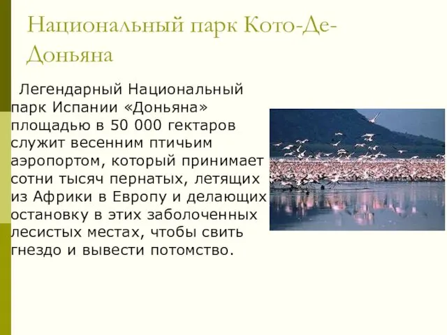 Национальный парк Кото-Де-Доньяна Легендарный Национальный парк Испании «Доньяна» площадью в