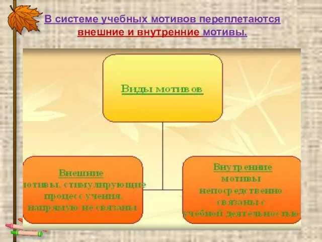 В системе учебных мотивов переплетаются внешние и внутренние мотивы.