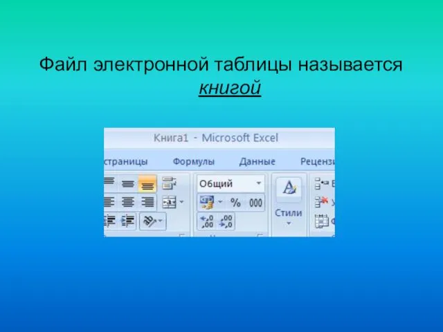 Файл электронной таблицы называется книгой