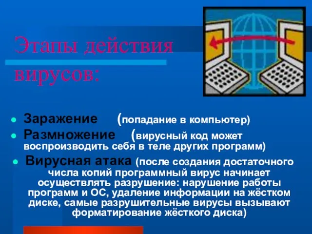 Этапы действия вирусов: Заражение (попадание в компьютер) Размножение (вирусный код может воспроизводить себя