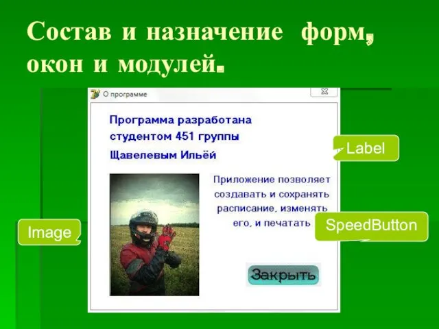 Состав и назначение форм, окон и модулей. SpeedButton Label Image