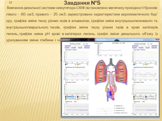 Завдання №5 Вивчення дихальної системи симулятора СКІФ (встановлено величину прохідності