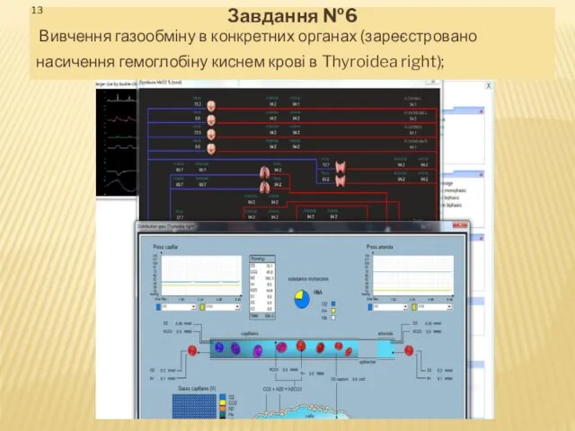 Завдання №6 Вивчення газообміну в конкретних органах (зареєстровано насичення гемоглобіну киснем крові в Thyroidea right);