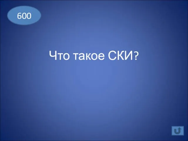 Что такое СКИ? 600