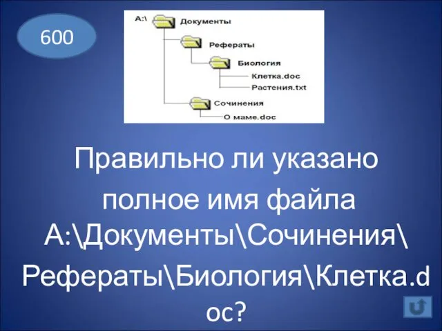 Правильно ли указано полное имя файла А:\Документы\Сочинения\ Рефераты\Биология\Клетка.doc? 600