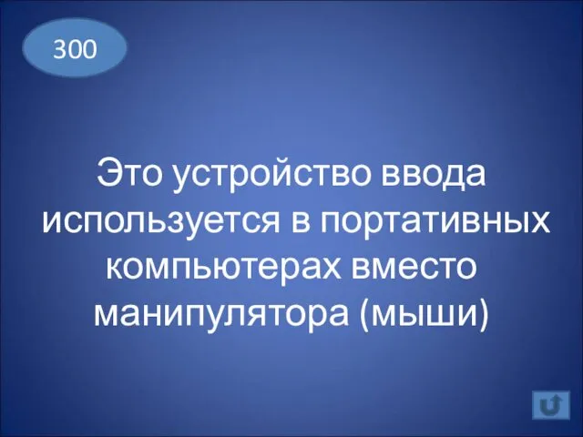 Это устройство ввода используется в портативных компьютерах вместо манипулятора (мыши) 300