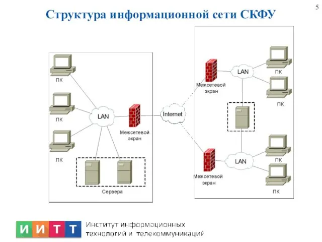 Структура информационной сети СКФУ