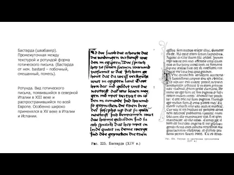 Бастарда (швабахер). Промежуточная между текстурой и ротундой форма готического письма.