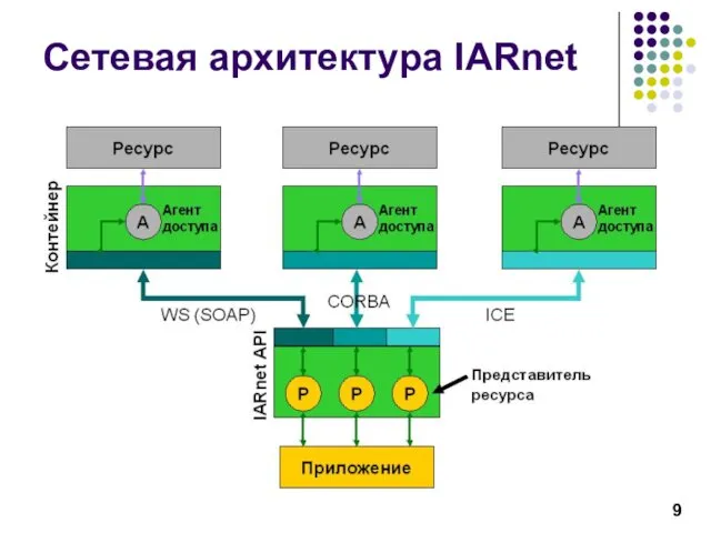 Сетевая архитектура IARnet