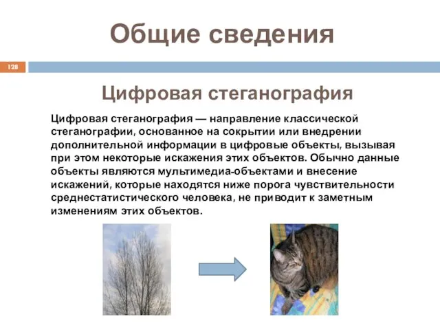 Цифровая стеганография Общие сведения Цифровая стеганография — направление классической стеганографии,