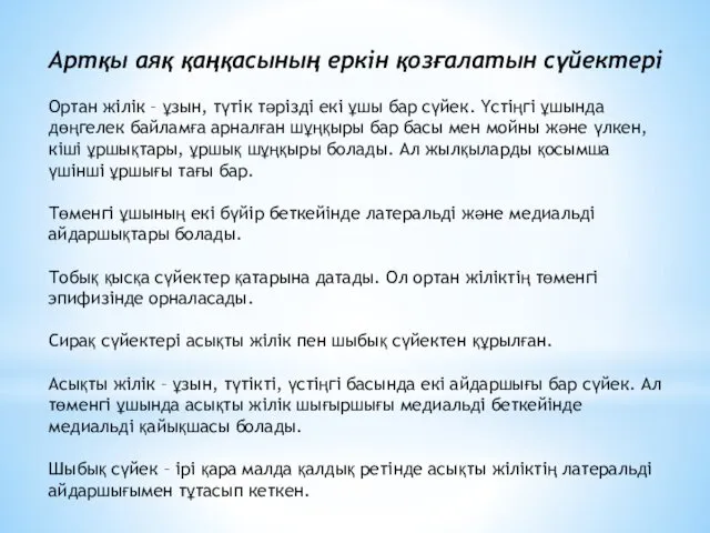 Артқы аяқ қаңқасының еркін қозғалатын сүйектері Ортан жілік – ұзын,