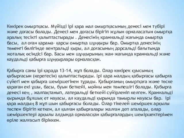 Көкірек омыртқасы. Мүйізді ірі қара мал омыртқасының денесі мен түбірі