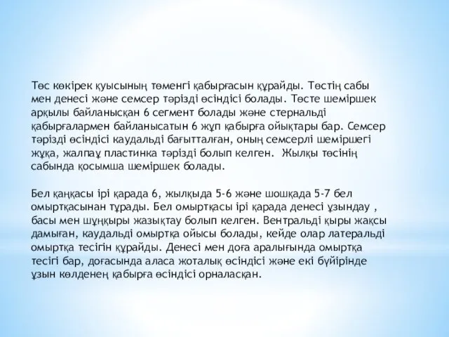 Төс көкірек қуысының төменгі қабырғасын құрайды. Төстің сабы мен денесі