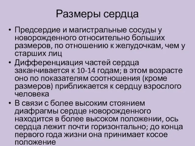 Предсердие и магистральные сосуды у новорожденного относительно больших размеров, по