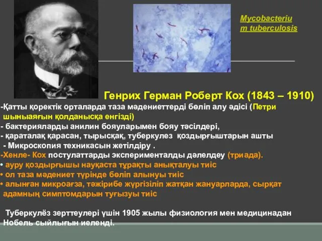 Mycobacterium tuberculosis Генрих Герман Роберт Кох (1843 – 1910) Қатты қоректік орталарда таза