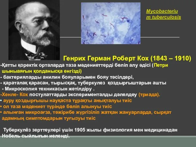 Mycobacterium tuberculosis Генрих Герман Роберт Кох (1843 – 1910) Қатты