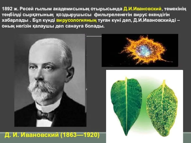 а я 1892 ж. Ресей ғылым академисының отырысында Д.И.Ивановский, темекінің теңбілді сырқатының қоздырушысы