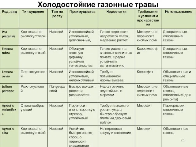 Холодостойкие газонные травы