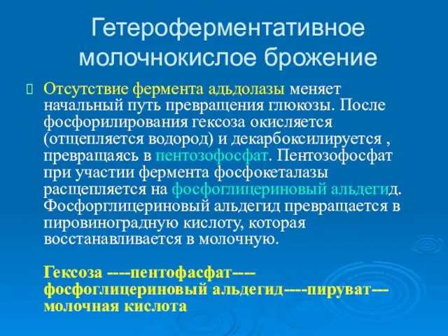 Гетероферментативное молочнокислое брожение Отсутствие фермента адьдолазы меняет начальный путь превращения