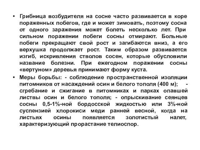 Грибница возбудителя на сосне часто развивается в коре пораженных побегов,