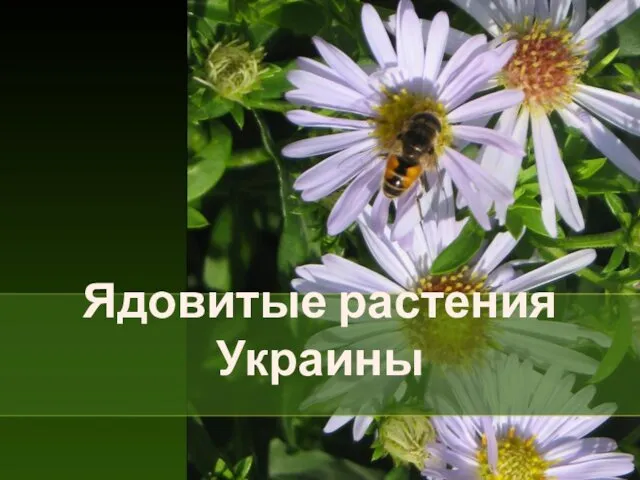 Ядовитые растения Украины
