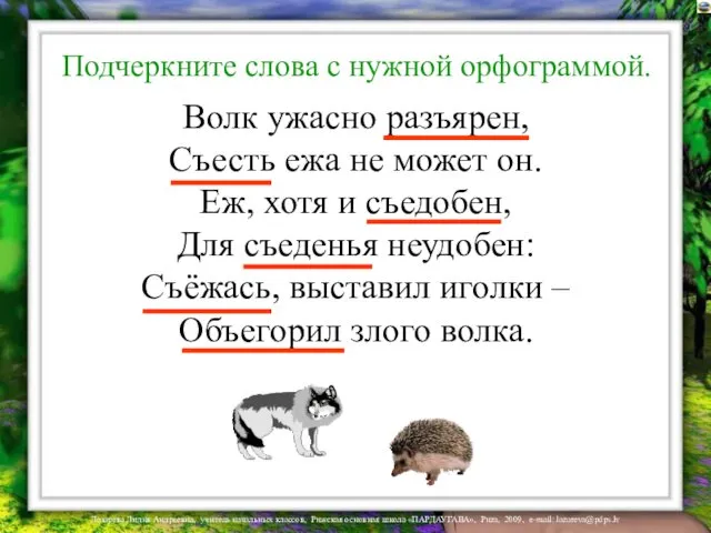 Волк ужасно разъярен, Съесть ежа не может он. Еж, хотя