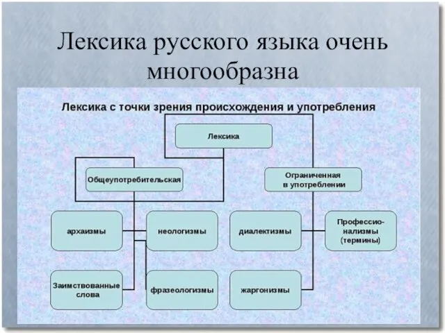 Лексика русского языка очень многообразна