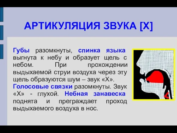 АРТИКУЛЯЦИЯ ЗВУКА [Х] Губы разомкнуты, спинка языка выгнута к небу