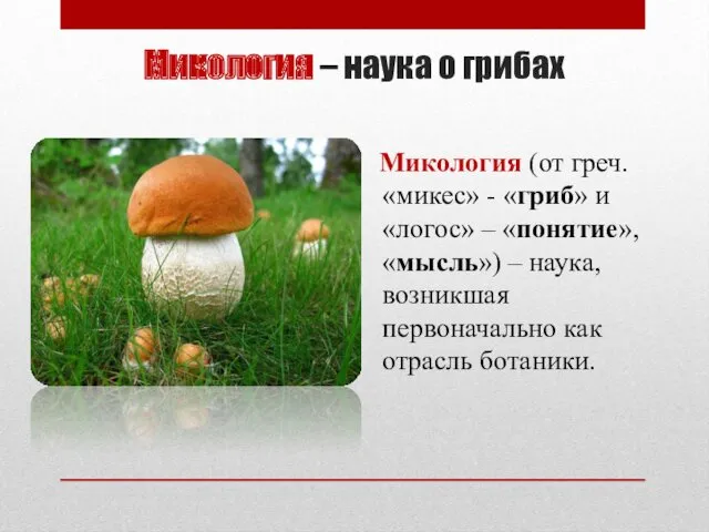 Микология – наука о грибах Микология (от греч. «микес» - «гриб» и «логос»