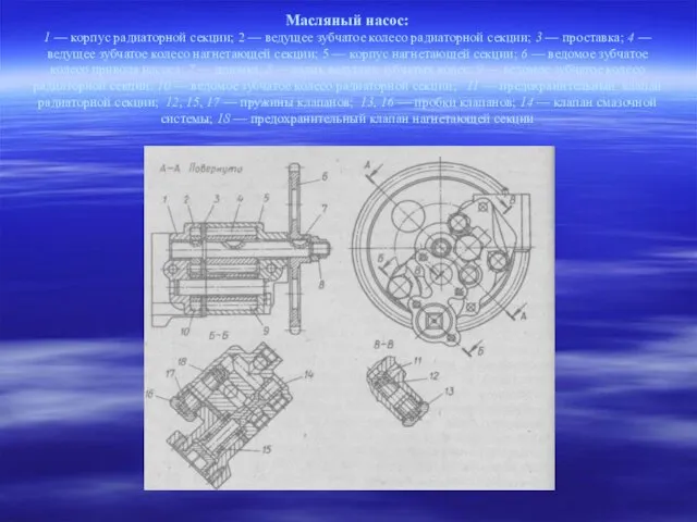 Масляный насос: 1 — корпус радиаторной секции; 2 — ведущее