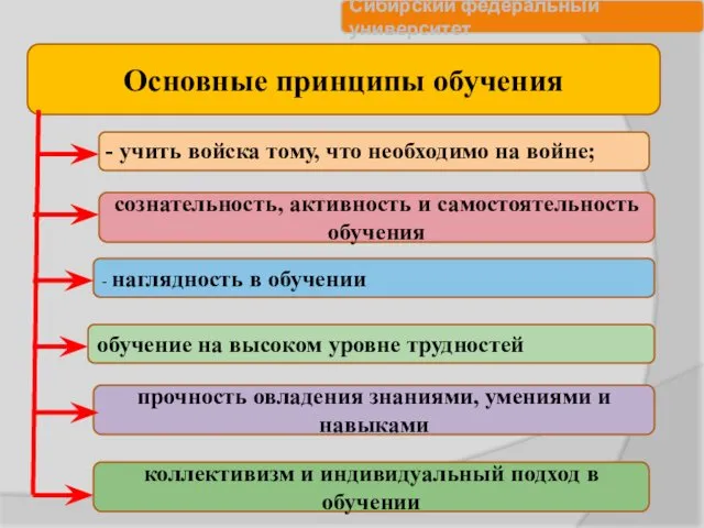 Основные принципы обучения сознательность, активность и самостоятельность обучения - наглядность