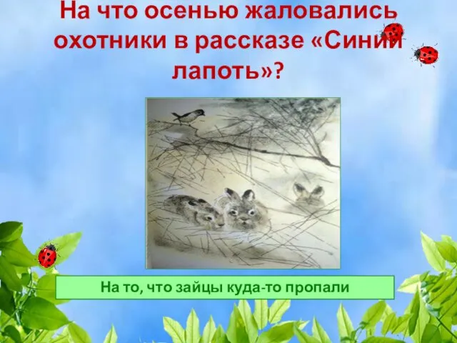 На что осенью жаловались охотники в рассказе «Синий лапоть»? На то, что зайцы куда-то пропали