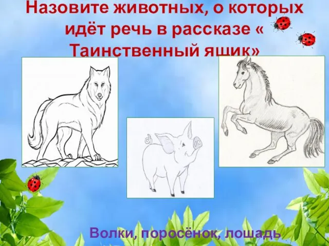 Назовите животных, о которых идёт речь в рассказе « Таинственный ящик» Волки, поросёнок, лошадь