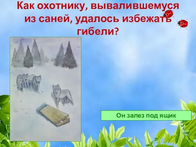 Как охотнику, вывалившемуся из саней, удалось избежать гибели? Он залез под ящик