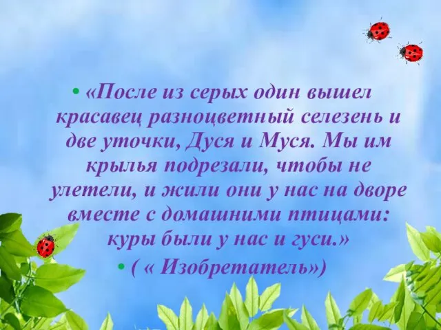 «После из серых один вышел красавец разноцветный селезень и две