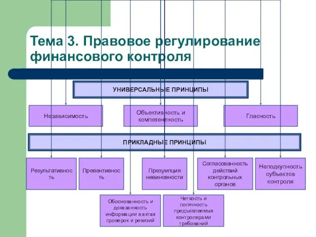 Тема 3. Правовое регулирование финансового контроля УНИВЕРСАЛЬНЫЕ ПРИНЦИПЫ