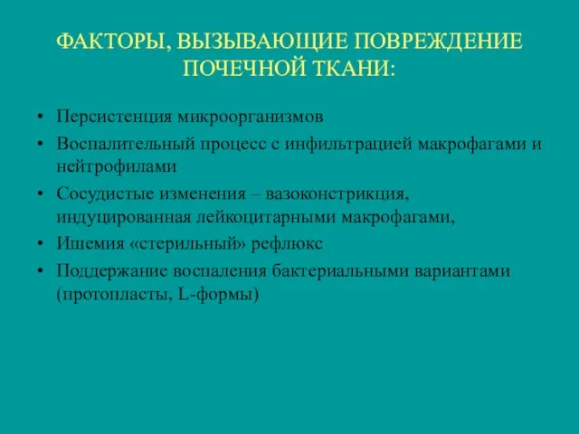 ФАКТОРЫ, ВЫЗЫВАЮЩИЕ ПОВРЕЖДЕНИЕ ПОЧЕЧНОЙ ТКАНИ: Персистенция микроорганизмов Воспалительный процесс с