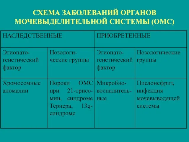 СХЕМА ЗАБОЛЕВАНИЙ ОРГАНОВ МОЧЕВЫДЕЛИТЕЛЬНОЙ СИСТЕМЫ (ОМС)