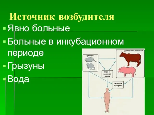 Источник возбудителя Явно больные Больные в инкубационном периоде Грызуны Вода