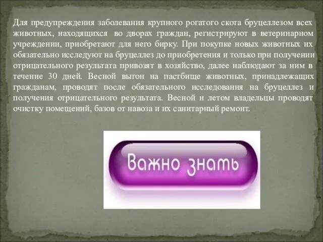 Для предупреждения заболевания крупного рогатого скота бруцеллезом всех животных, находящихся