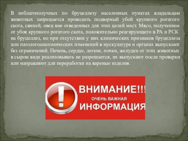 В неблагополучных по бруцеллезу населенных пунктах владельцам животных запрещается проводить