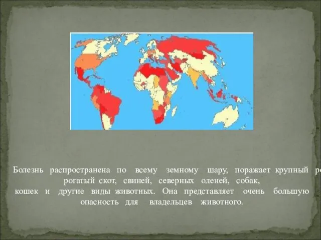 Болезнь распространена по всему земному шару, поражает крупный рогатый и