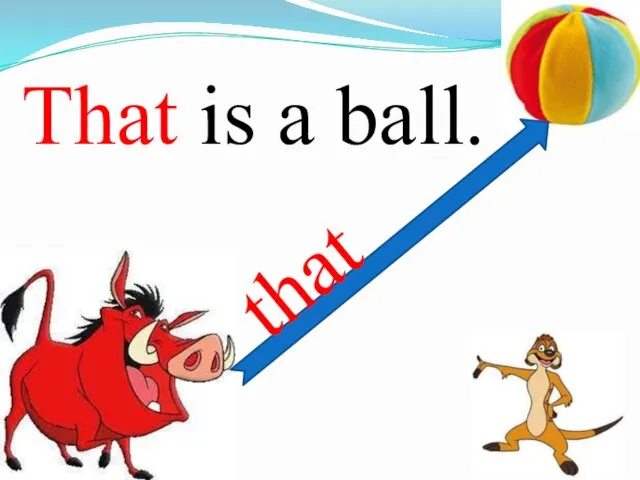 That is a ball. that