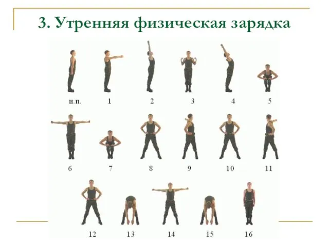 3. Утренняя физическая зарядка