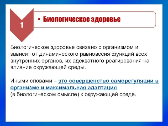 Биологическое здоровье связано с организмом и зависит от динамического равновесия