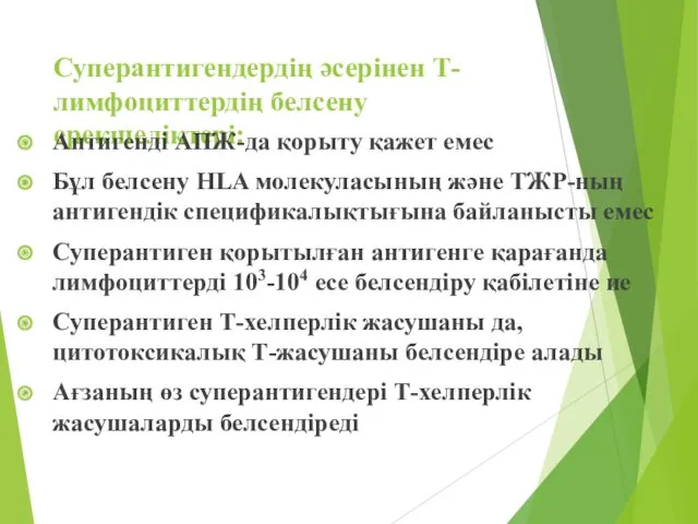 Суперантигендердің әсерінен Т-лимфоциттердің белсену ерекшеліктері: Антигенді АПЖ-да қорыту қажет емес