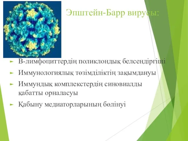 Эпштейн-Барр вирусы: В-лимфоциттердің поликлондық белсендіргіші Иммунологиялық төзімділіктің зақымдануы Иммундық комплекстердің синовиалды қабатты орналасуы Қабыну медиаторларының бөлінуі