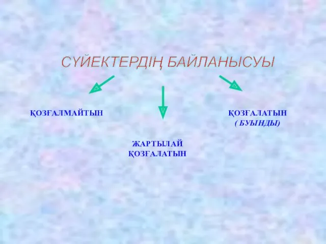 СҮЙЕКТЕРДІҢ БАЙЛАНЫСУЫ ҚОЗҒАЛМАЙТЫН ЖАРТЫЛАЙ ҚОЗҒАЛАТЫН ҚОЗҒАЛАТЫН ( БУЫНДЫ)