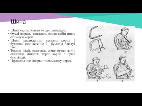 Шина Шина оқиға болған жерде санылады. Әуелі жарасы таңылып, содан