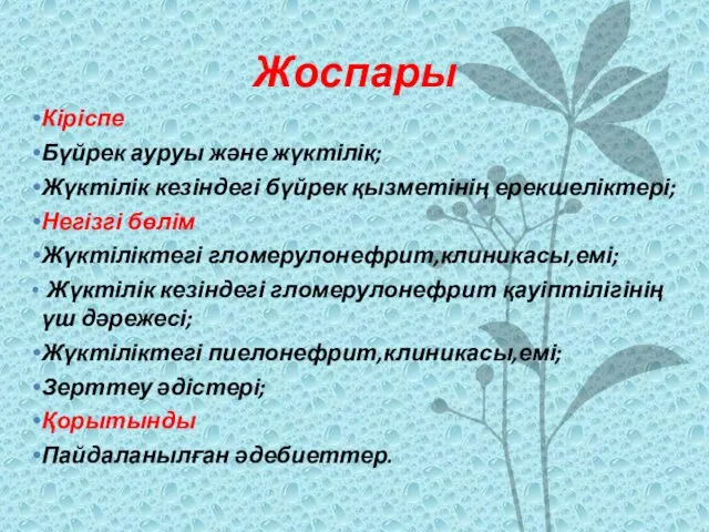 Жоспары Кіріспе Бүйрек ауруы және жүктілік; Жүктілік кезіндегі бүйрек қызметінің